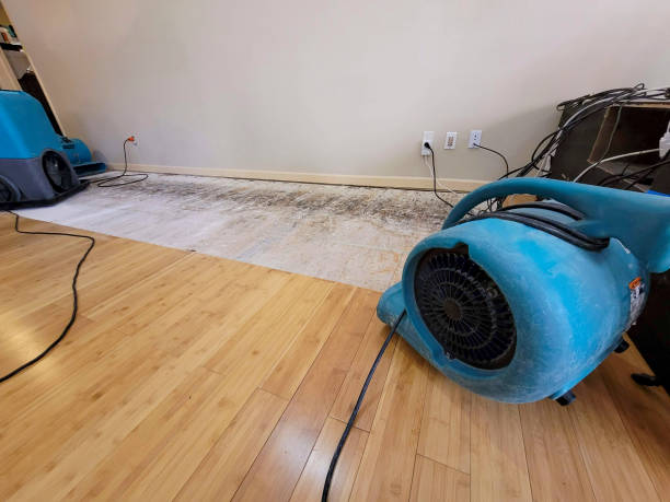 Reliable Basement Flood Cleanup contractor in Bellevue, WI by Hirex Water Damage