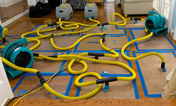 Professional Basement Flood Cleanup technician working in Bellevue, WI